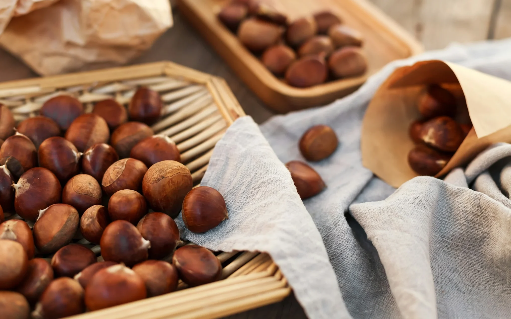 Castagne e storie in cammino